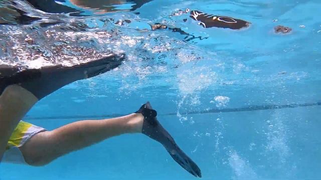 Snorkeling Gear For Beginners ? Best Snorkel Mask Snorkel Gear To Get Started