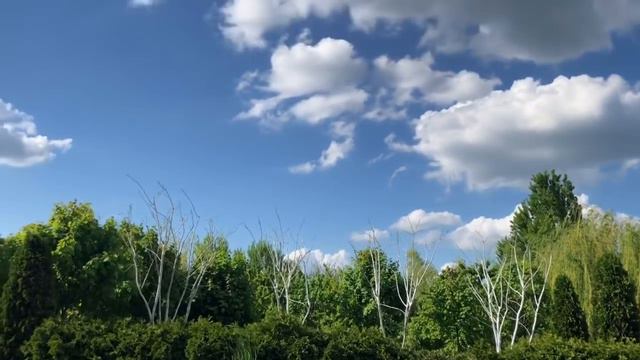 Ловим с французским бульдогом Марсиком рыбу смотреть онлайн