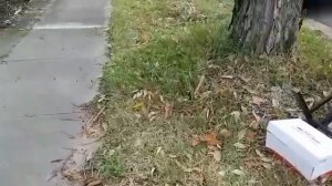 МУСОР И СОКРОВИЩА АВСТРАЛИИ НА СВАЛКЕ АНТИКВАРИАТ ВИНТАЖНЫЕ И СТАРИННЫЕ ВЕЩИ ХЛАМ ПОЛЕ ЧУДЕС