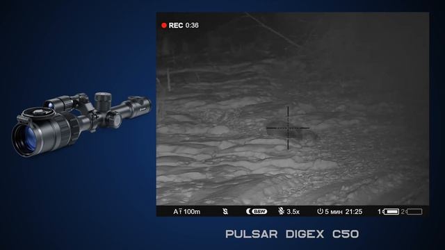 Самый крупный кабан-секач! Зверь добыт. Впечатления о работе «ночника» Pulsar Digex C50 смотреть онлайн