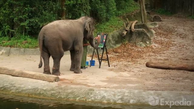 Singapore Vacation Travel Guide | Expedia