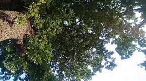 Зорко одно лишь сердце... Часть 1.