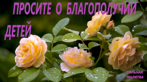 Молитва о благополучии детей и их здоровье, Никтарий Оптинский.