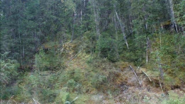 Поездка в Пермский Край сюжет №2.wmv смотреть онлайн