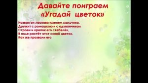 «Луговые и полевые цветы»