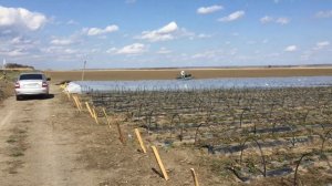 Дуги  для клубники (тоннели Для Клубники )