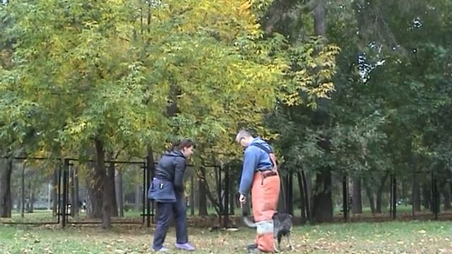 Дрессировка собак ЗКС Берта 6 смотреть онлайн