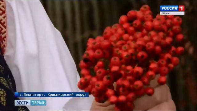 Рябинник осенний народный праздник в Пешнигорте. смотреть онлайн