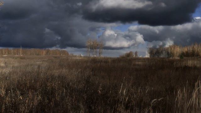 "Отговорила роща золотая". Музыка Г.Пономаренко, слова С.Есенина смотреть онлайн
