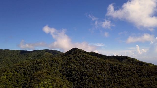 Holywell Park, Blue Mountains, Jamaica смотреть онлайн