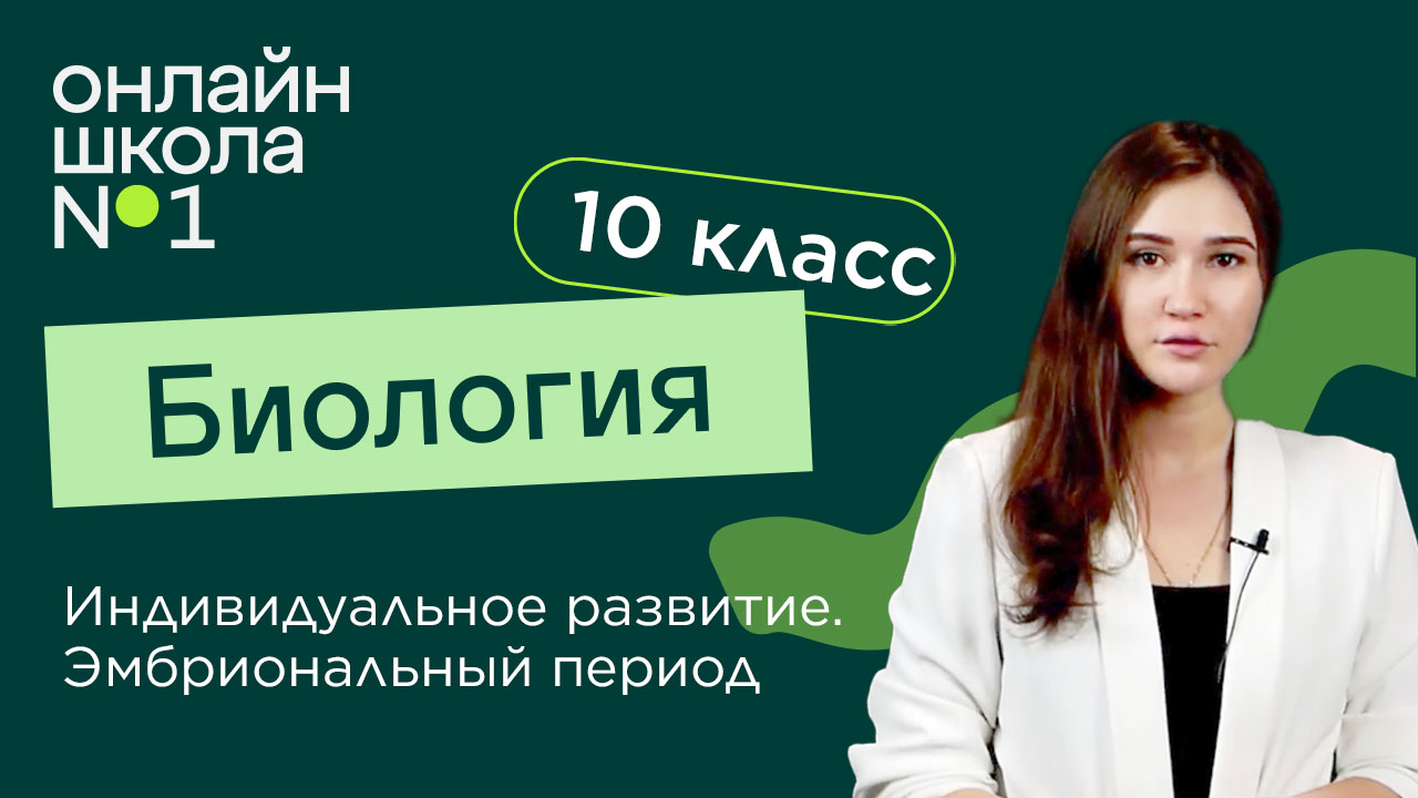 Индивидуальное развитие. Эмбриональный период. Биология 10 класс. Видеоурок 24