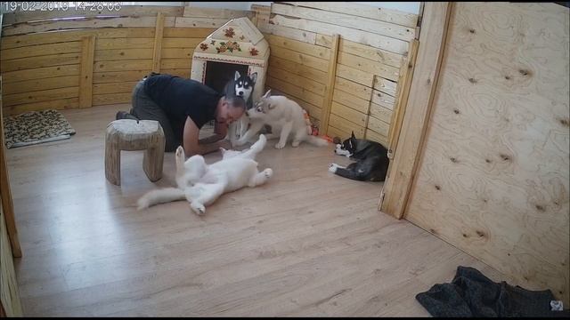 С Днем Рождения,Сергей! смотреть онлайн