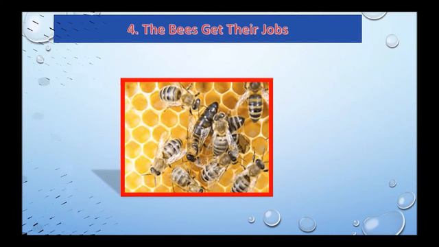 How do Bees make Honey? смотреть онлайн