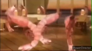 креветки танцуют под бара бара бере бере 4 минуты