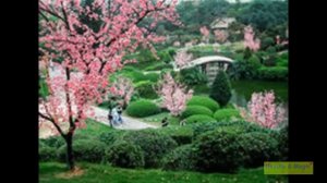 Самые красивые сады мира