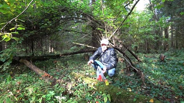 ОПЯТА КОСОЙ КОСИМ(08.10.2017) смотреть онлайн