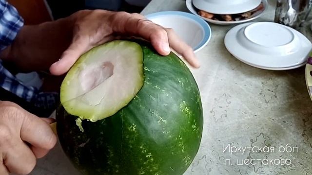 Сезон арбузов в Сибири заканчиваем?. Ливни и холод поторопили с уборкой.. смотреть онлайн