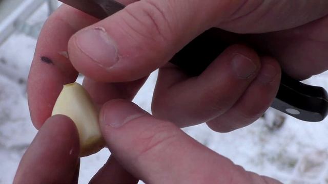 КУДА УШЁЛ ГРИБНИК? ГОРЯЧИЙ СУП ИЗ ЛЕСНЫХ ГРИБОВ! ПЕРВЫЙ ЗИМНИЙ ПОХОД 2022! смотреть онлайн