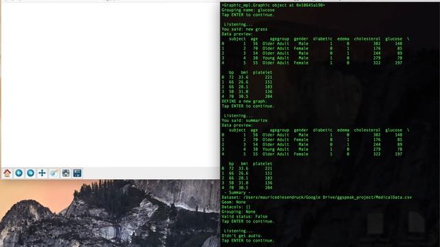 DEMO - ggSpeak - Data Visualization by Voice (Python Implementation) смотреть онлайн