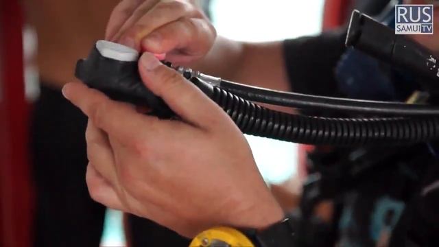 Дайвинг на ко Тао смотреть онлайн