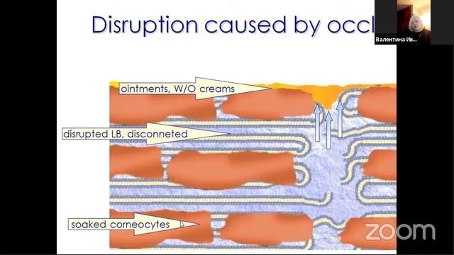 БИОХИМИЯ ПО КОСТОЧКАМ, от Emansi + APH System