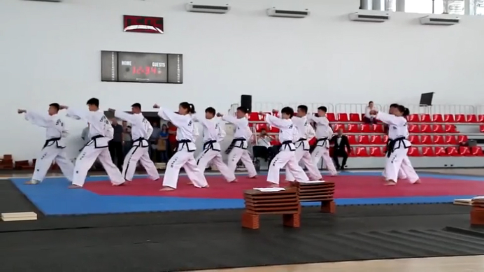 North Korea Taekwon do ITF смотреть онлайн