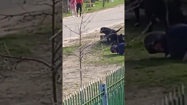 высокомерный человек следует.. смотреть онлайн