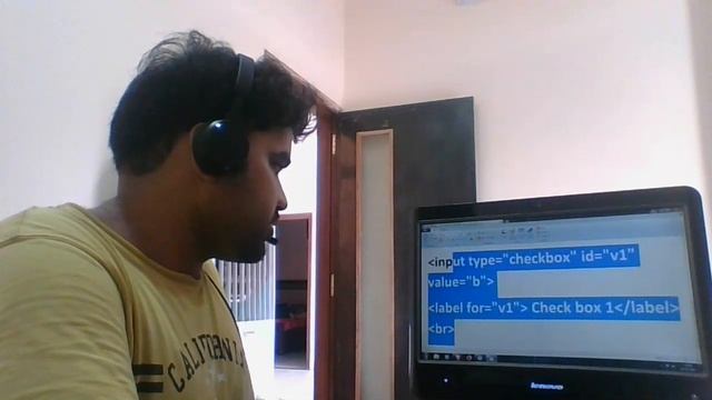 html checkbox in form смотреть онлайн