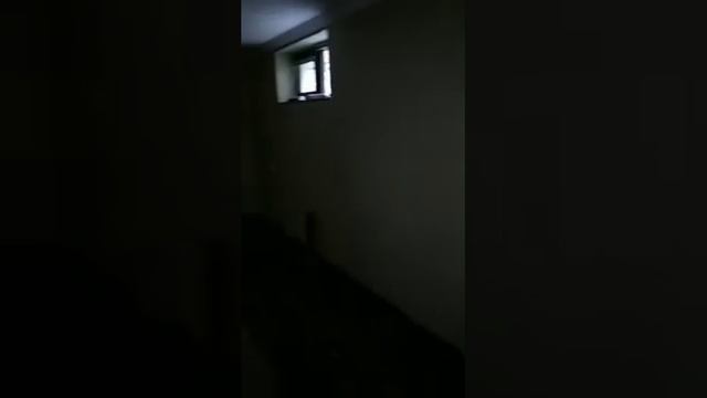 Книжные шкафы смотреть онлайн