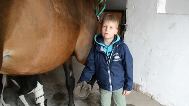 Cowboy Nick SE 05 расчистка смотреть онлайн