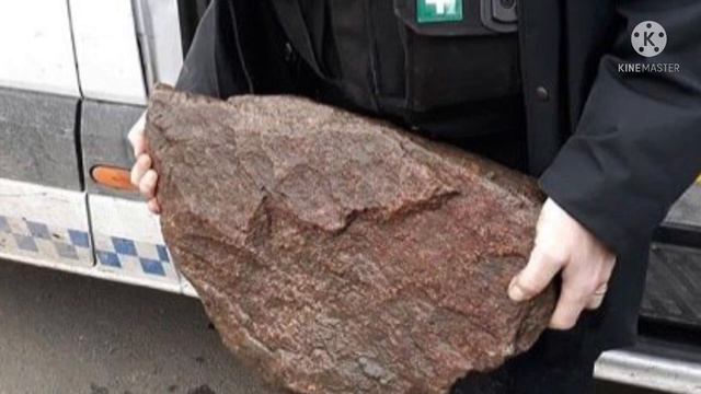 Увидев собаку, которая билась в воде, женщина кинулась ее спасать Она еще не знала, почему та... смотреть онлайн