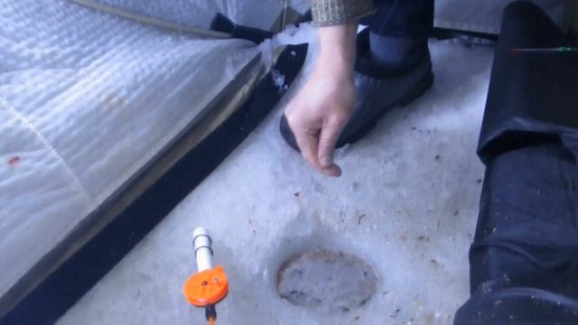 Подводная съёмка поведения карася на месте закормки Открытия сезона рыбалки 2023 смотреть онлайн