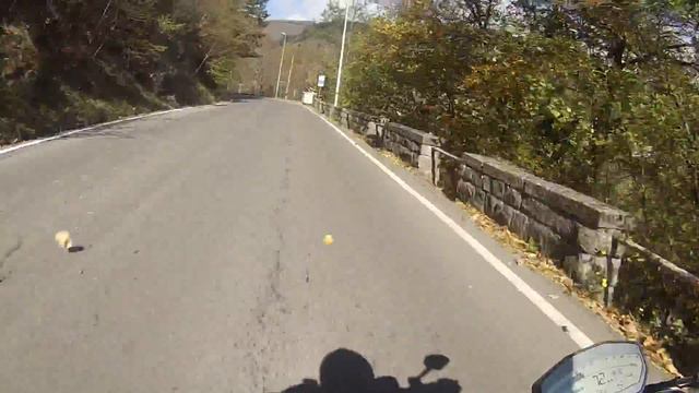 SUI MONTI TOSCO-ROMAGNOLI - INTO THE WILD TUSCANY - MONSTER 821 OnBoard ONLY ENGINE SOUND смотреть онлайн