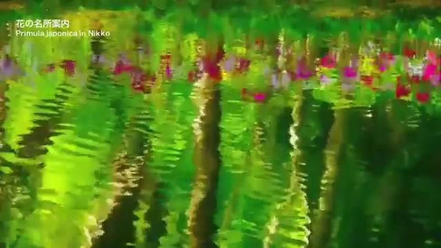 слияние с природой смотреть онлайн