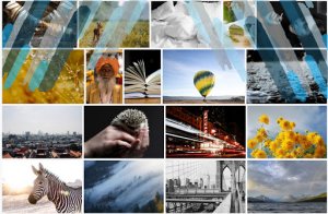 8.5. Единичное, общее и всеобщее. Уникальное и стандартное .mp4