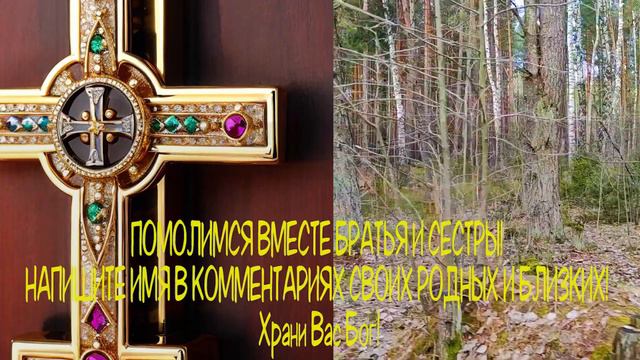 🙏Молитва СЕГОДНЯ УЖЕ ЧЕРЕЗ ДВЕ МИНУТЫ НАЧНЕТСЯ БЕЛАЯ ПОЛОСА! Включи тихонько эту молитву🙏 смотреть онлайн