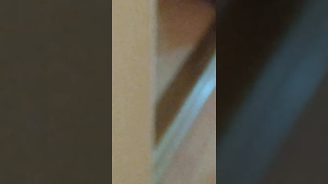 Издевательство над моим другом. смотреть онлайн