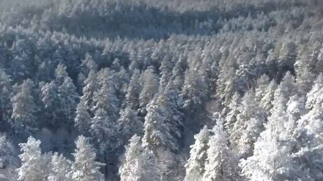 смотровая вышка смотреть онлайн