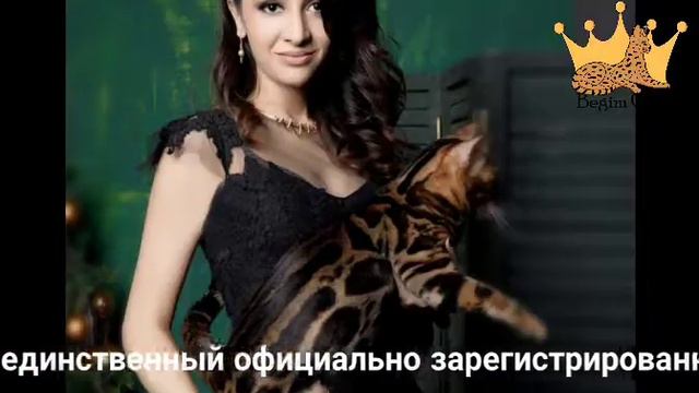 Begimcats Uzbekistan смотреть онлайн