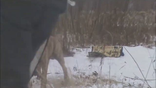 Dogo cananrio Berinika смотреть онлайн