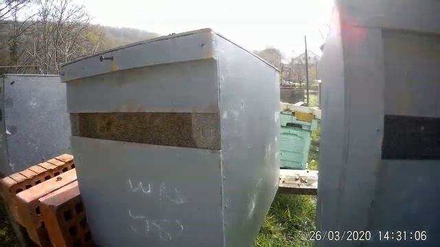 Покупка пчелосемей.Как, когда покупать пчел.Места разведения и продажи ранних семей пчел. смотреть онлайн