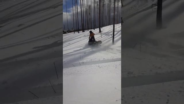 Skidoo Summit 800