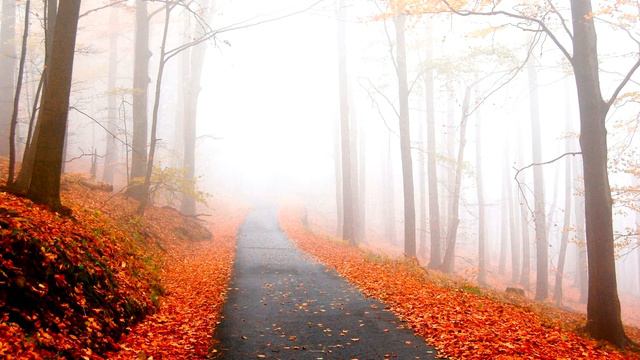 Музыка из телевизора. М.Таривердиев. смотреть онлайн