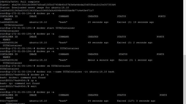 Introduction to Dockers Lecture 9 (Docker Containers) смотреть онлайн