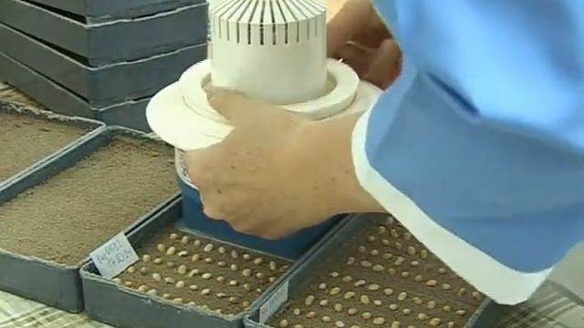 Чем сеять будем? смотреть онлайн