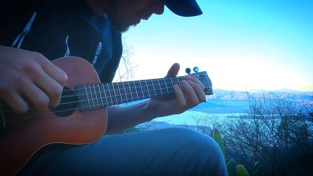 #PostMalone #Ozzy Osbourne Take What You Want #Ukulele Instrumental Cover Fingerstyle Post Malone O