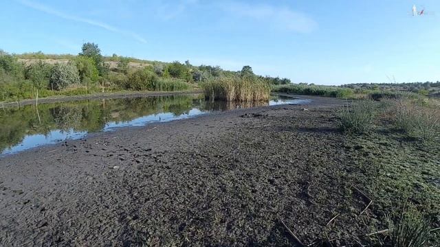 Утятник! не #рыбалка а целое приключение! смотреть онлайн