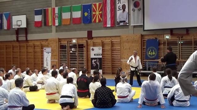 Austria official Hapkido Seminar. смотреть онлайн