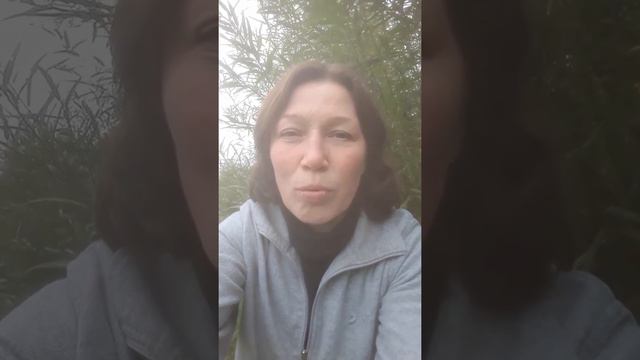 ЧЕТЫРЕХДНЕВНОЕ РАБСТВО.