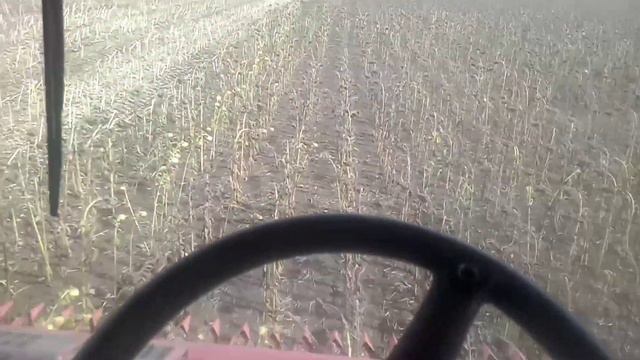 уборка подсолнечника 2021 смотреть онлайн